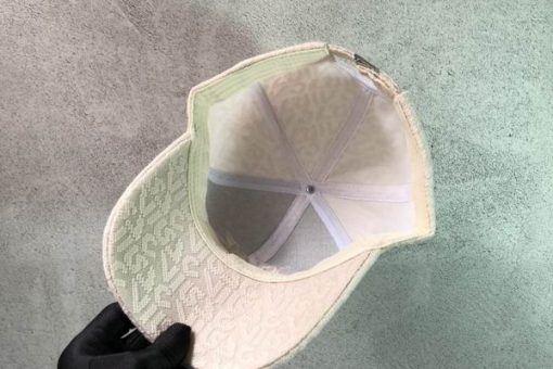 Dior Cap 2025