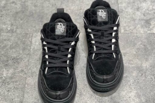 Dior X Erl B9S Sneakers 2025