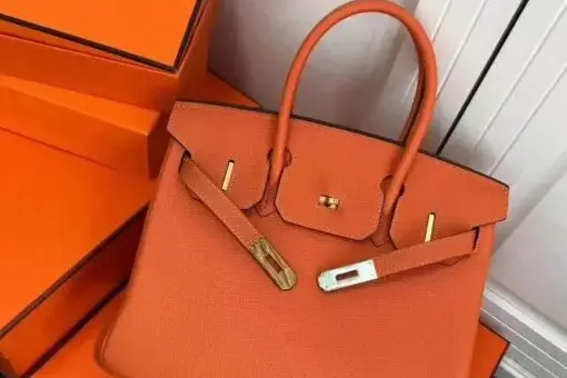 Hermes Birkin Togo Bag Orange