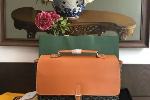 Goyard Citadin PM Messenger Bag Black Brown Front View