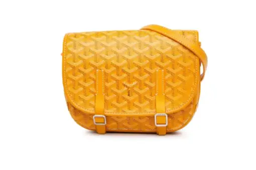 Goyard Belvedere PM Crossbody Bag Yellow Front View