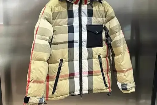 Burberry New Down Jacket Two Part