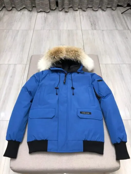 Canada Goose Down Jacket New Model Blue 2026 | Drip Kickz Canada Goose Down Jacket New Model Blue