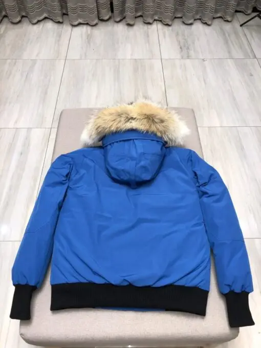 Canada Goose Down Jacket New Model Blue 2026 | Drip Kickz Canada Goose Down Jacket New Model Blue - Image 2