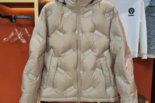Dior Down Jacket Beige M2