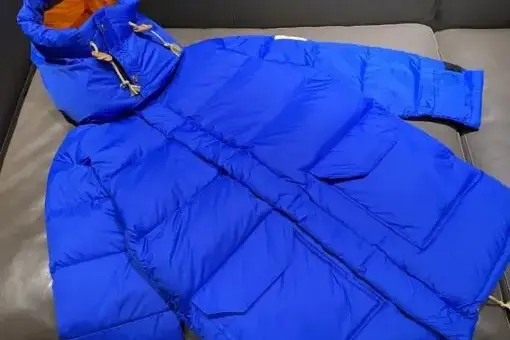The North Face x Gucci Down Jacket Blue