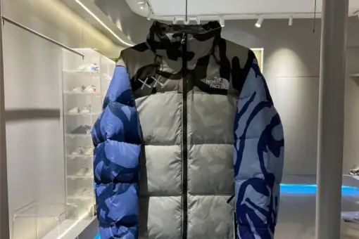KAWS x The North Face Retro 1996 Nuptse Jacket Multicolour