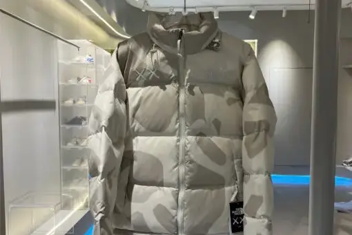 KAWS x The North Face Retro 1996 Nuptse Jacket