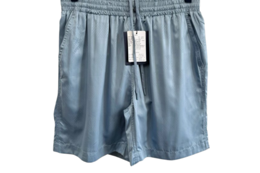 LV Monogram Swim Shorts Pastel Blue