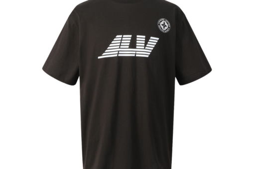 LV Washed Printed Cotton T-Shirt
