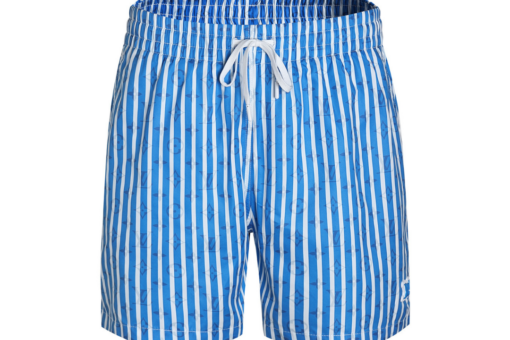 LV Monogram Striped Swim Shorts In Blue Aster