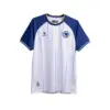 Bosnia 26 Away Kit