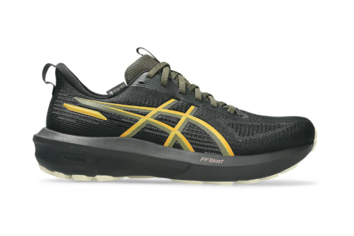 ASICS GT-1000 14 Gore-Tex Black Sandstorm
