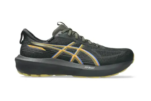 ASICS GT-1000 14 Gore-Tex Black Sandstorm