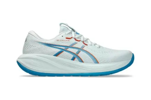ASICS Gel-Cumulus 27 Gore-Tex Clay Canyon Light Dust (Copy)
