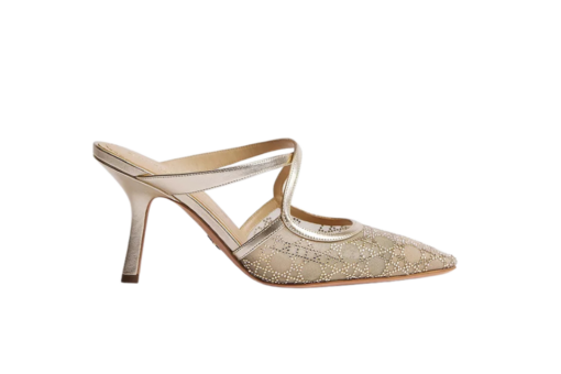Capture Heeled Mule Transparent Mesh